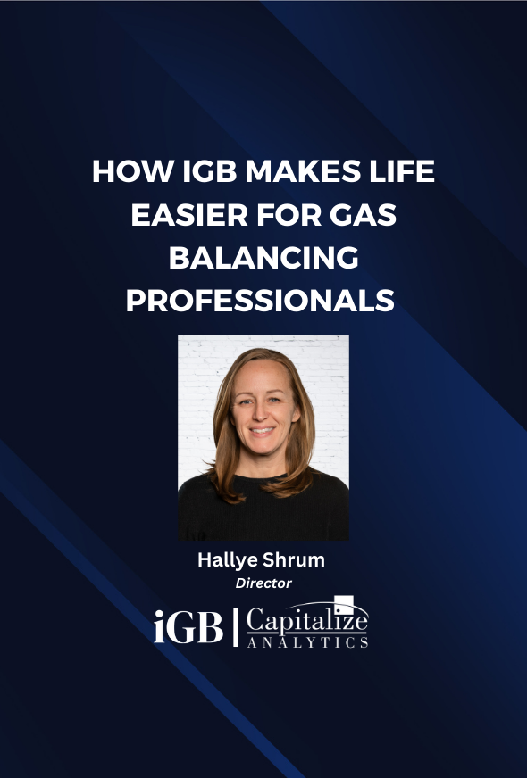 How iGB makes life easier for gas balancing professionals